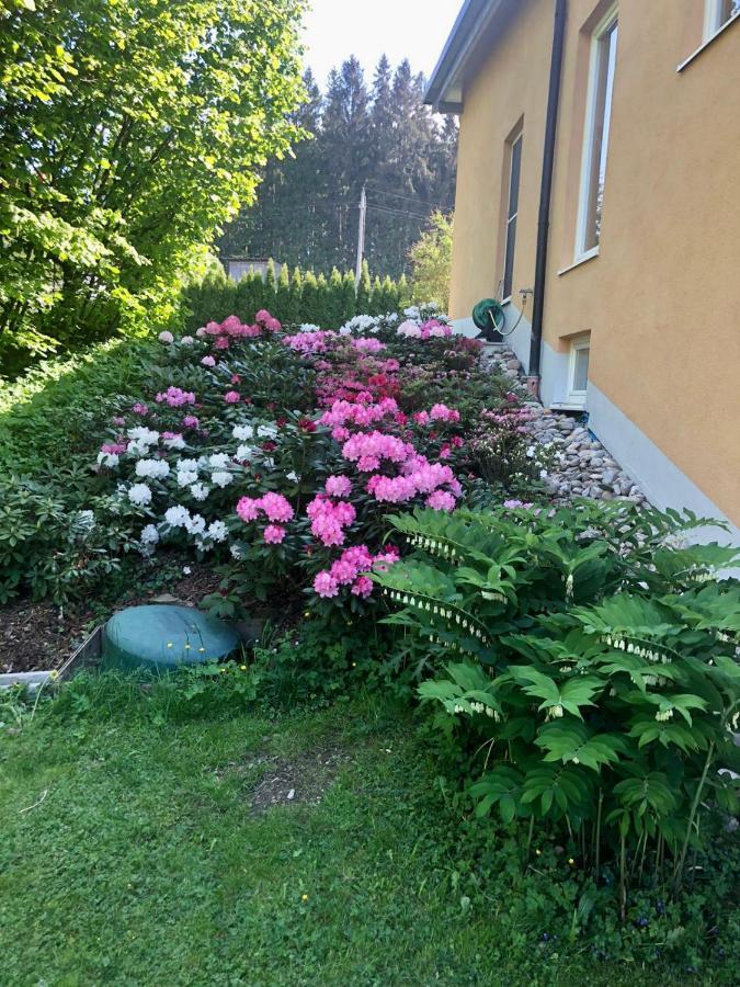 شقة Am Wildbach Bei Passau Saming المظهر الخارجي الصورة