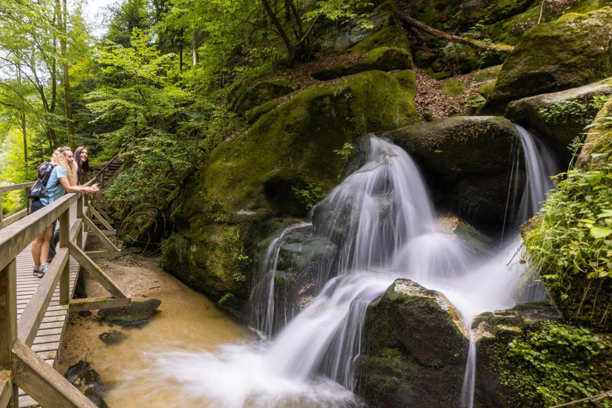 شقة Am Wildbach Bei Passau Saming المظهر الخارجي الصورة
