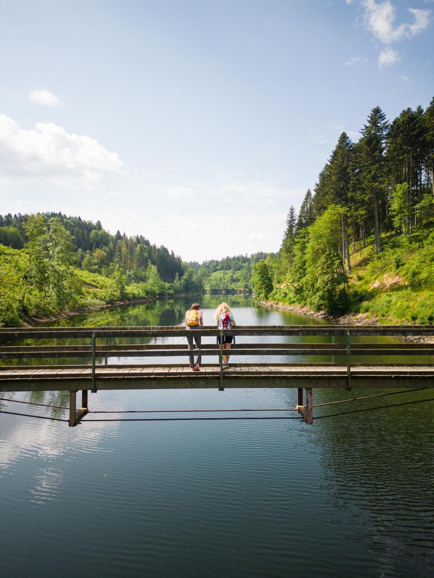 شقة Am Wildbach Bei Passau Saming المظهر الخارجي الصورة